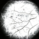 'Solarization'